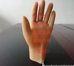 江西假肢
